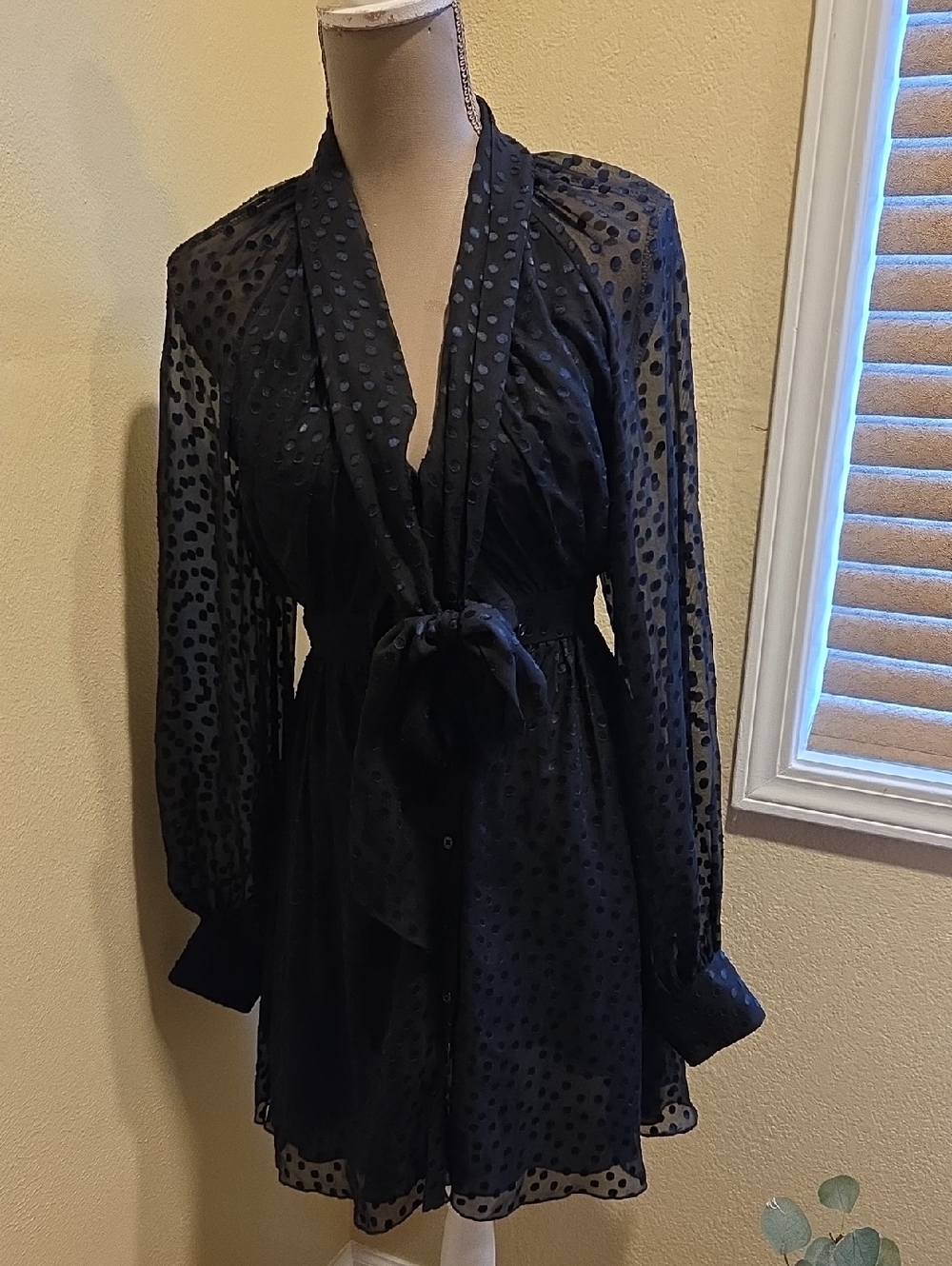 Rachel Zoe Sheer Black Polka Dot Tie-Front Robe